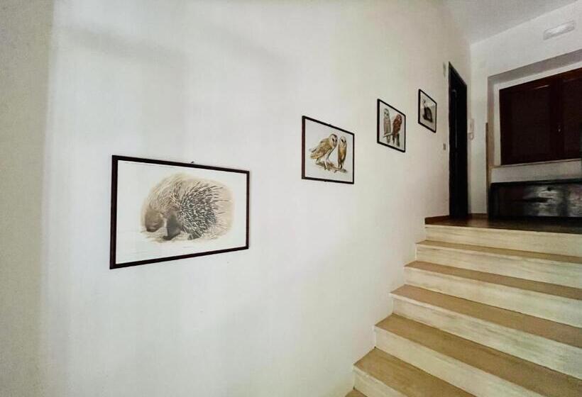 فندق صغير Rifugio Acquaviva