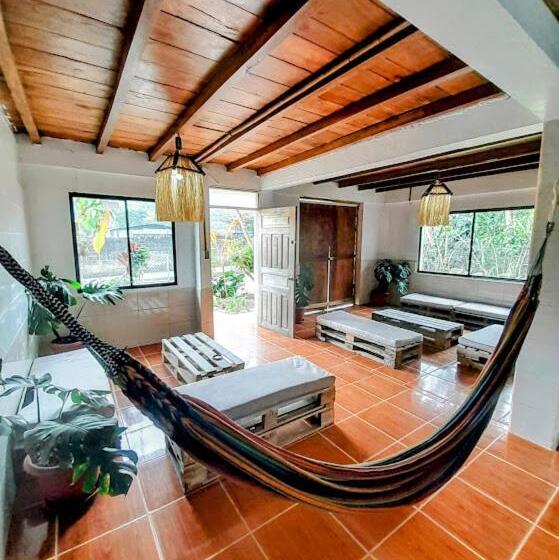 Общежитие The Temple Iii, Mindo