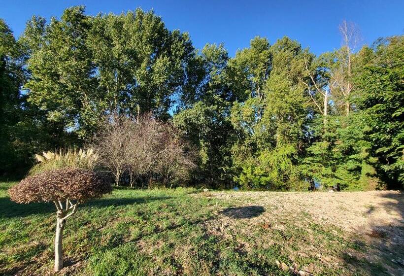 הוסטל Wonderbar