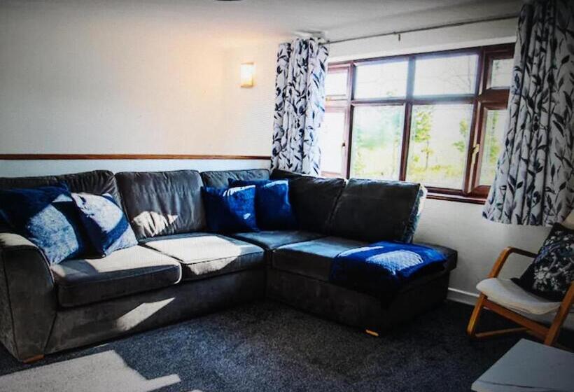 住宿加早餐  Drainllwyn