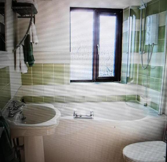 住宿加早餐  Drainllwyn