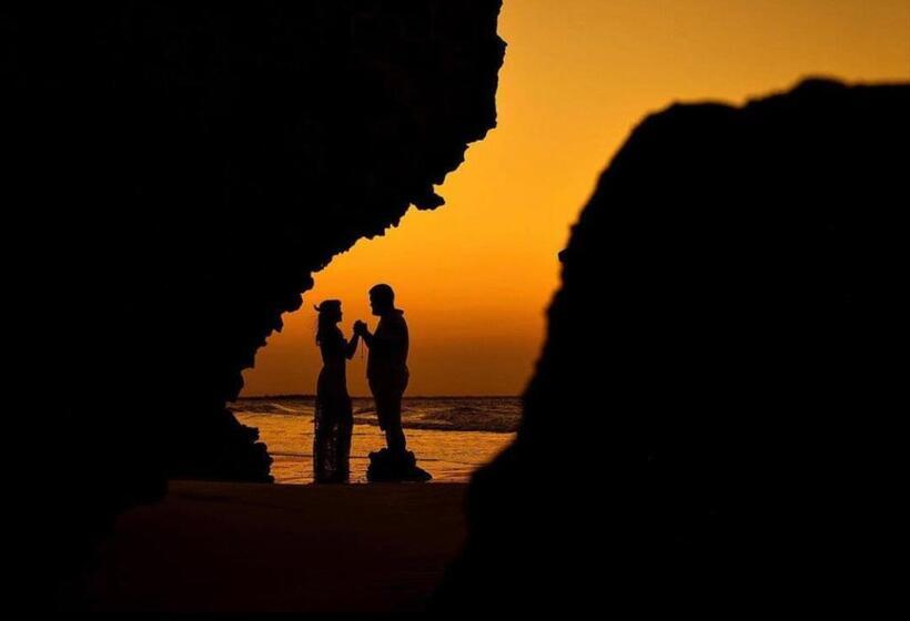 住宿加早餐  Flatsuico