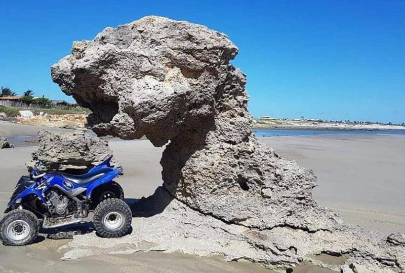 住宿加早餐  Flatsuico