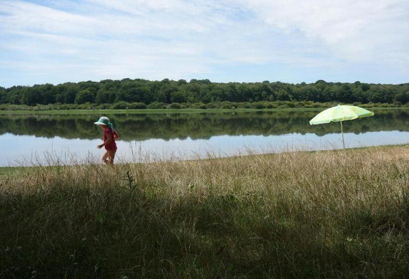 Bed and Breakfast La Maison Haute