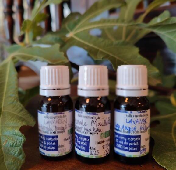 مبيت وإفطار Le Mas D Antonine, Marie Louise