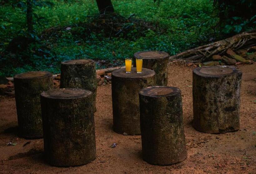 ベッドアンドブレックファースト Rock Pool Eco Lodge