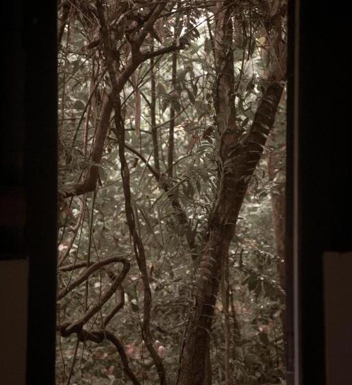 ベッドアンドブレックファースト Rock Pool Eco Lodge