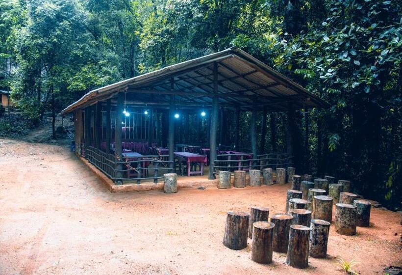 ベッドアンドブレックファースト Rock Pool Eco Lodge