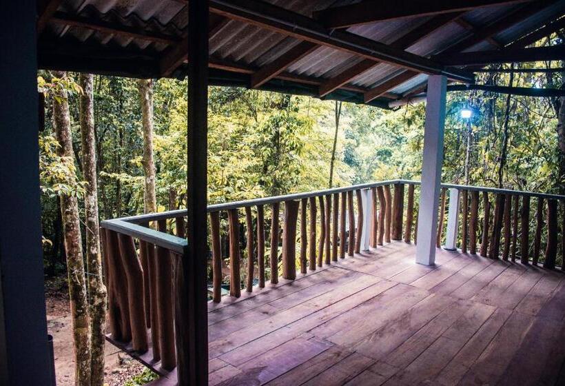 ベッドアンドブレックファースト Rock Pool Eco Lodge