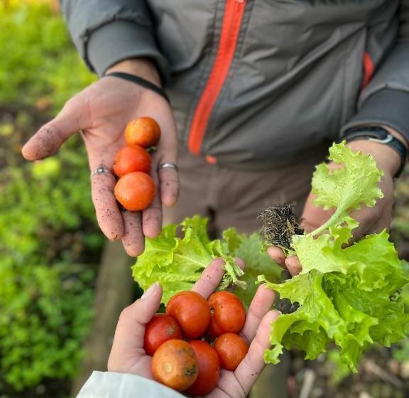 Hostel Rancho Los Bajitos