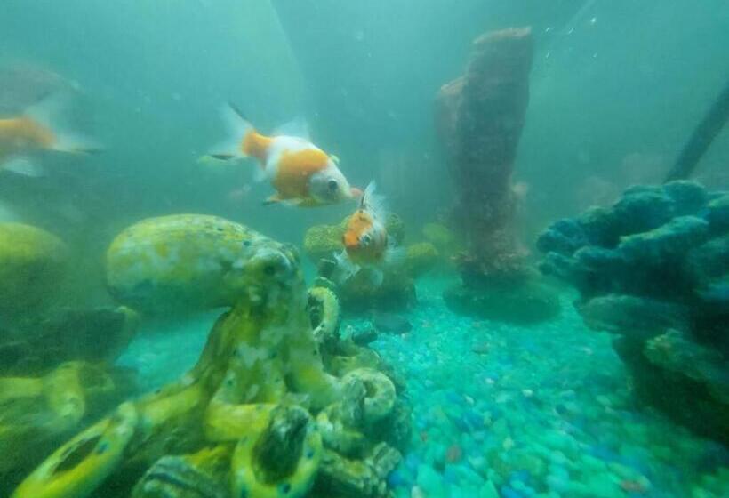 ホテル Campestre Diamante Real