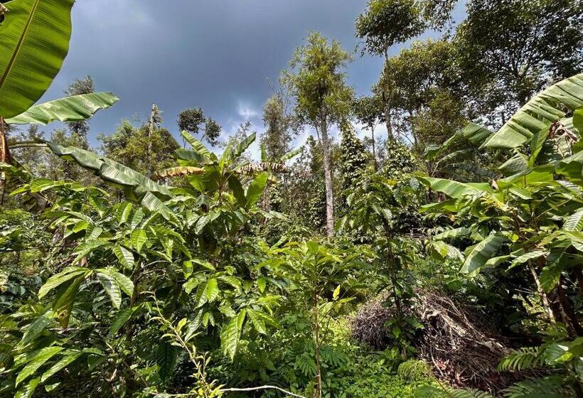 בית מלון כפרי Century Old Coorg Gem