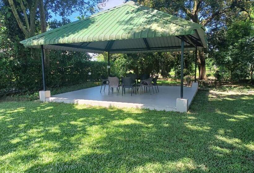 בית מלון כפרי Chai Seeds Resort