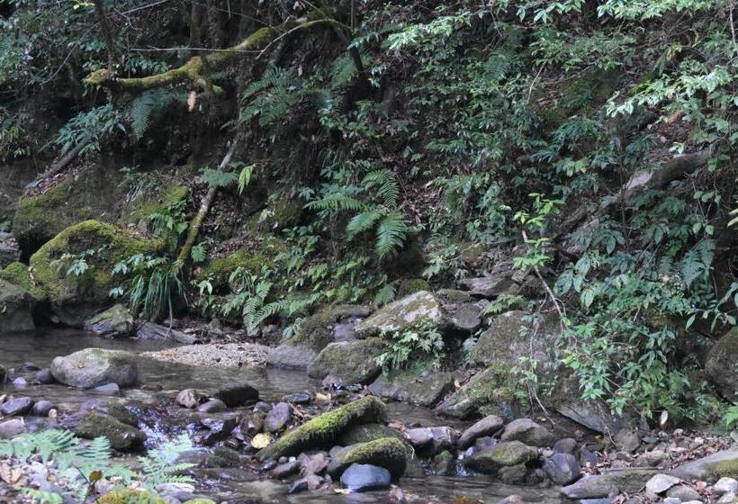 Chopta House Hotel And Restaurant