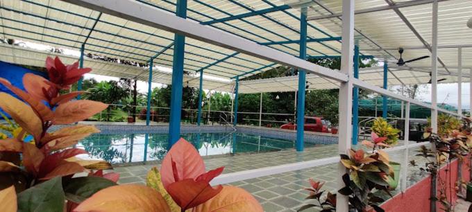 בית מלון כפרי Splash Resort