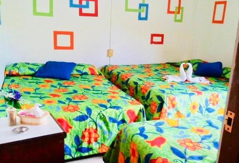 فندق Zócalo Abuelos