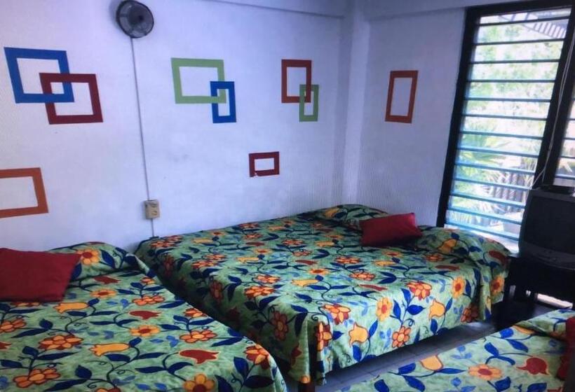 فندق Zócalo Abuelos