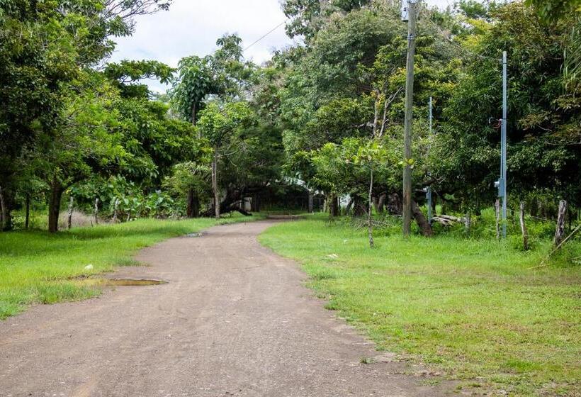 Las Motas Surf Camp & Hostel