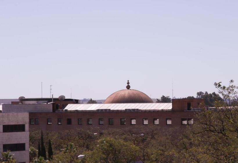 Se   Peaceful Shiny Apartment Near Fibes