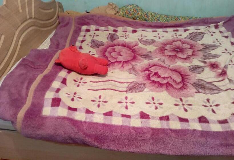 پانسیون улица достук 26