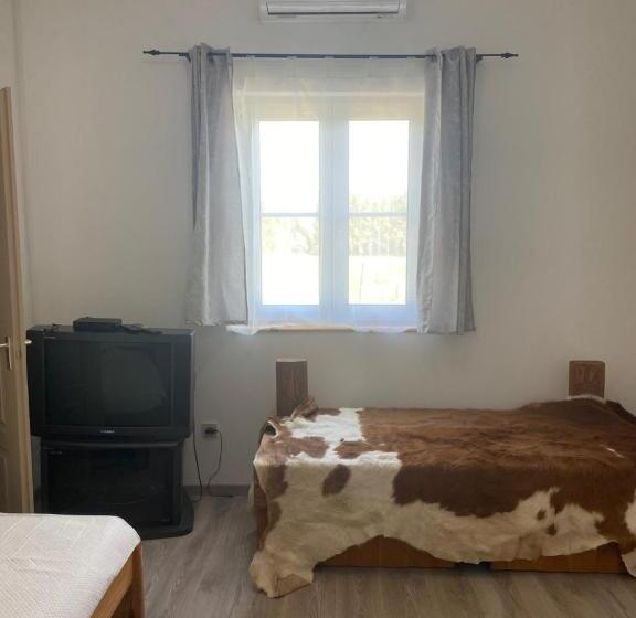 Tündér Pension