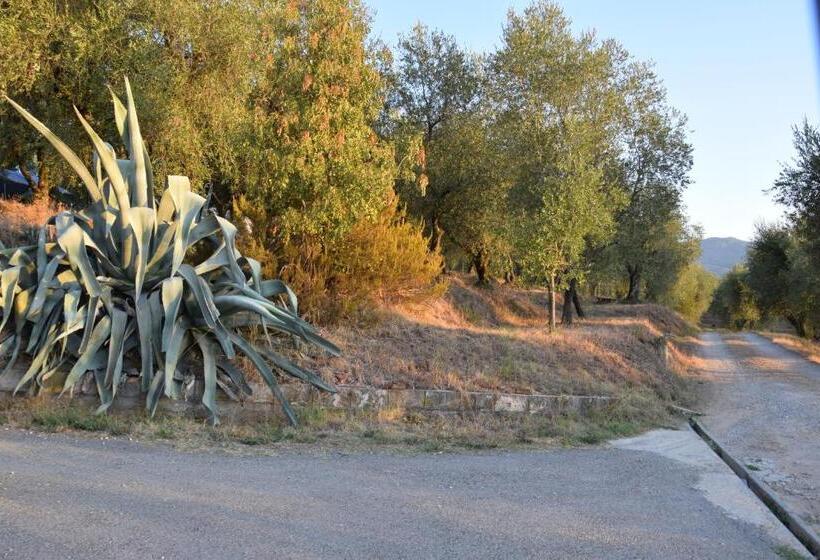 Пансион Da Poldino