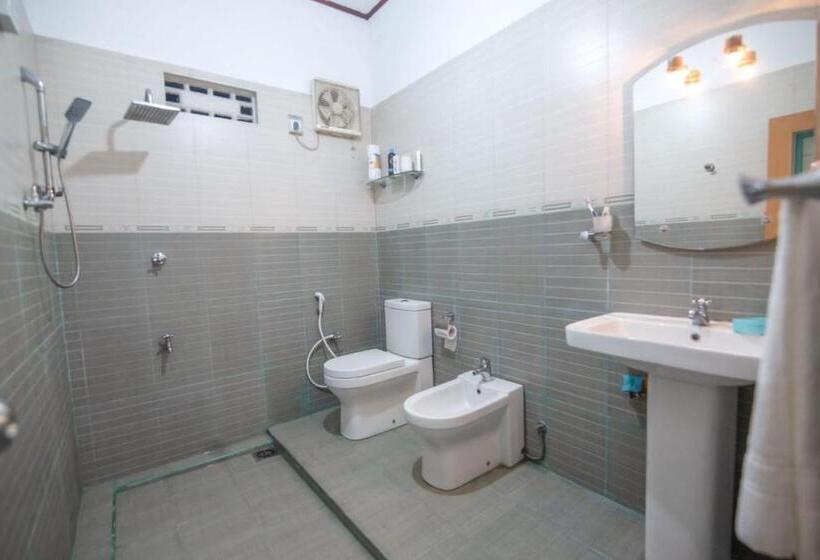 膳宿费 Dreamross Guest