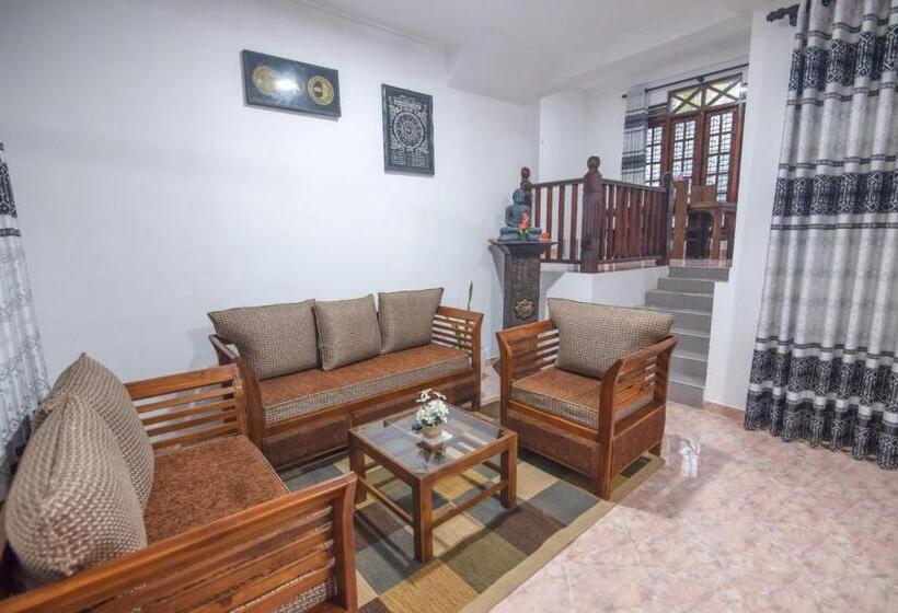 膳宿费 Dreamross Guest