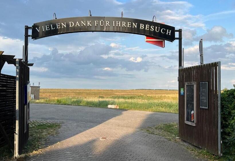 بنسيون Gasthaus Kelly