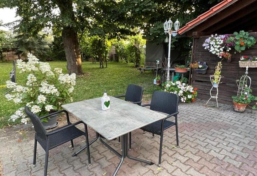 بنسيون Gasthaus Kelly