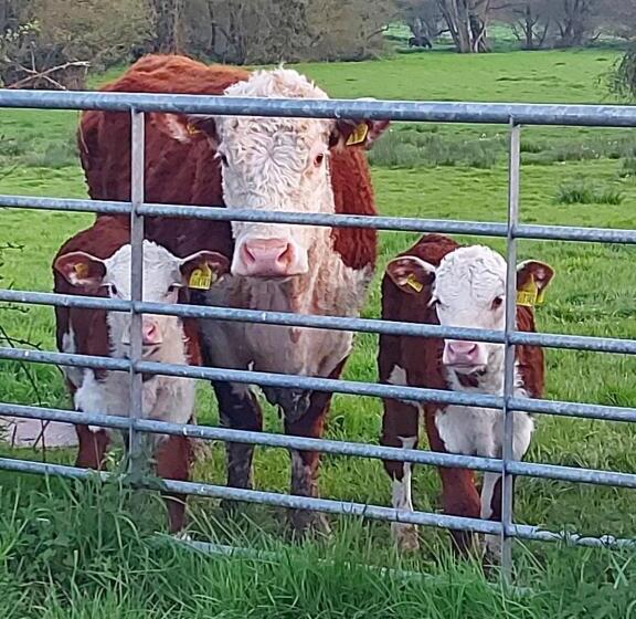 بنسيون Hot Tub Hideaway