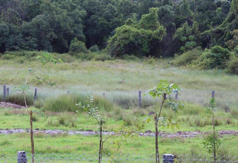 פנסיון Jungleview Mudumalai