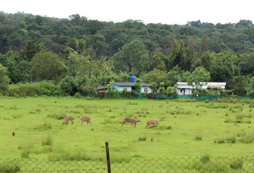 פנסיון Jungleview Mudumalai