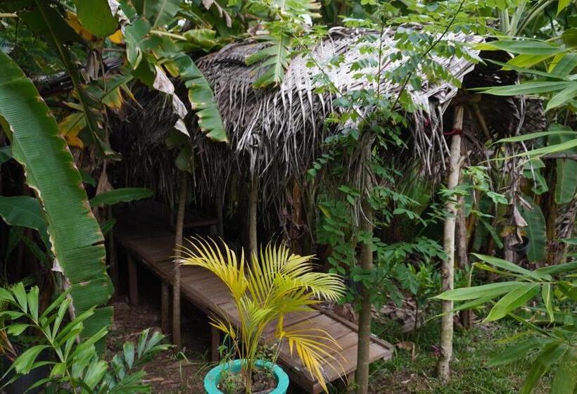 بنسيون Nature World Safari Resort