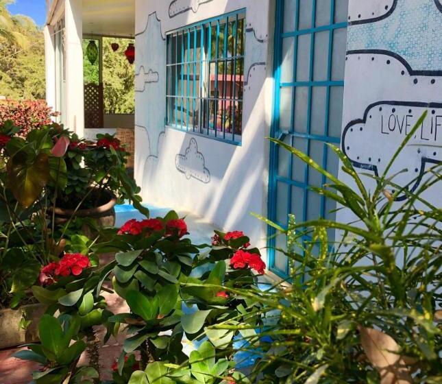 Пансион Surf N Roll House