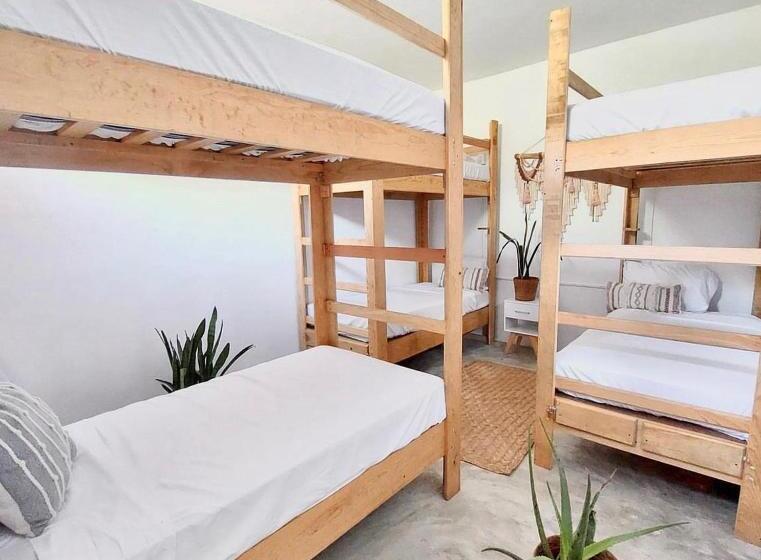 Пансион Surf N Roll House