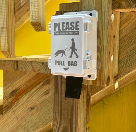 بنسيون The Sunburst Oasis