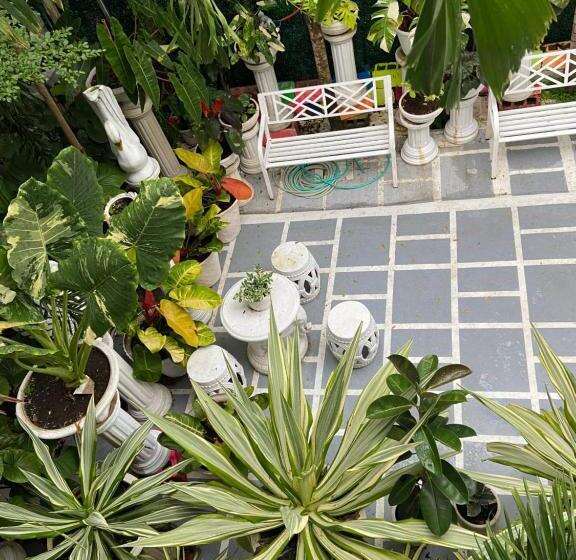 펜션 The Veehive Guesthouse