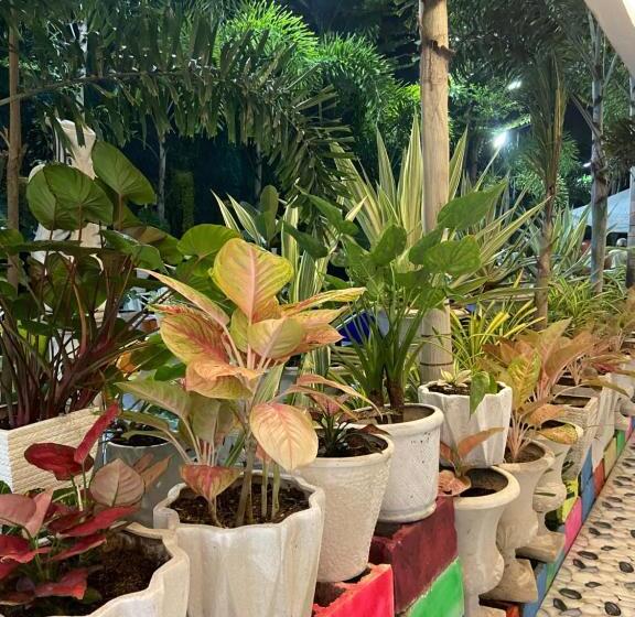 펜션 The Veehive Guesthouse