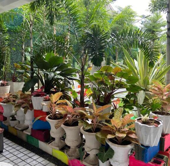 펜션 The Veehive Guesthouse