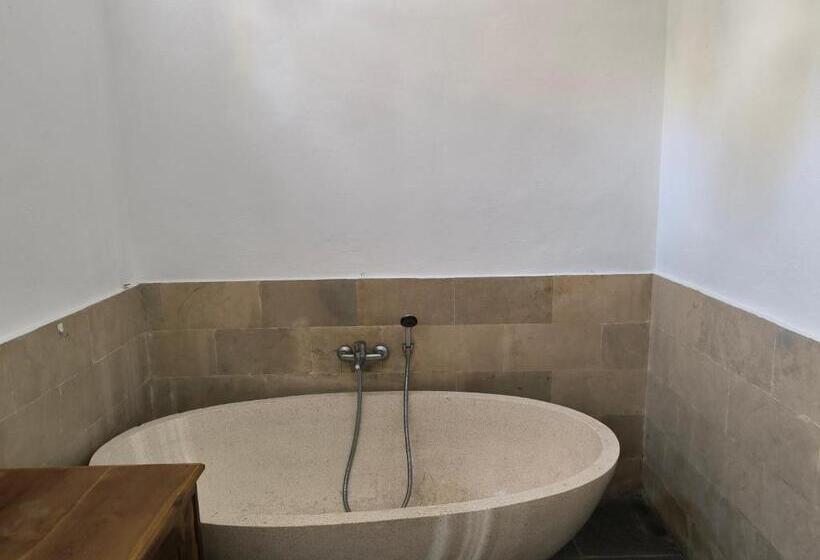 פנסיון White Lotus House