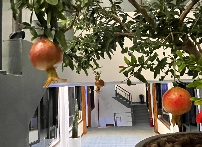 Zhangjiajie Borui Hotel Tianmen Mountain