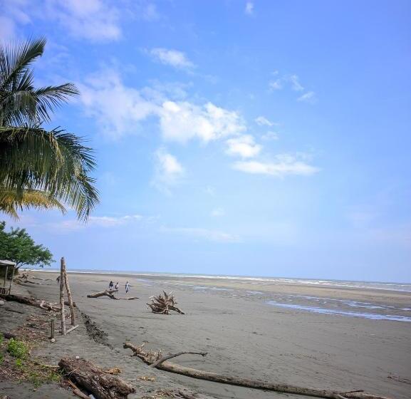 旅馆 Cabañas En Playa La Barra