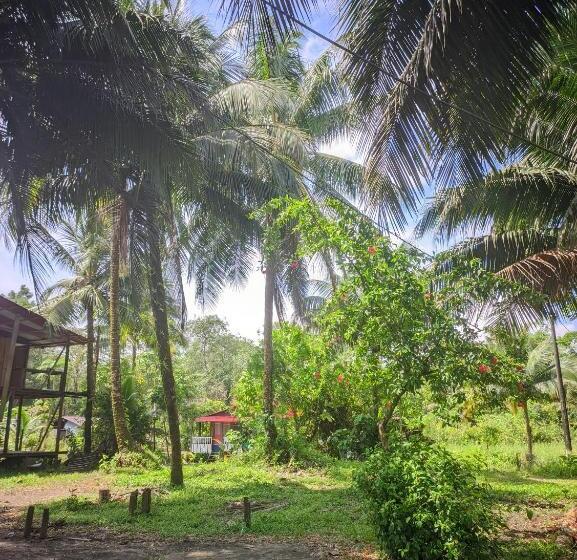 旅馆 Cabañas En Playa La Barra