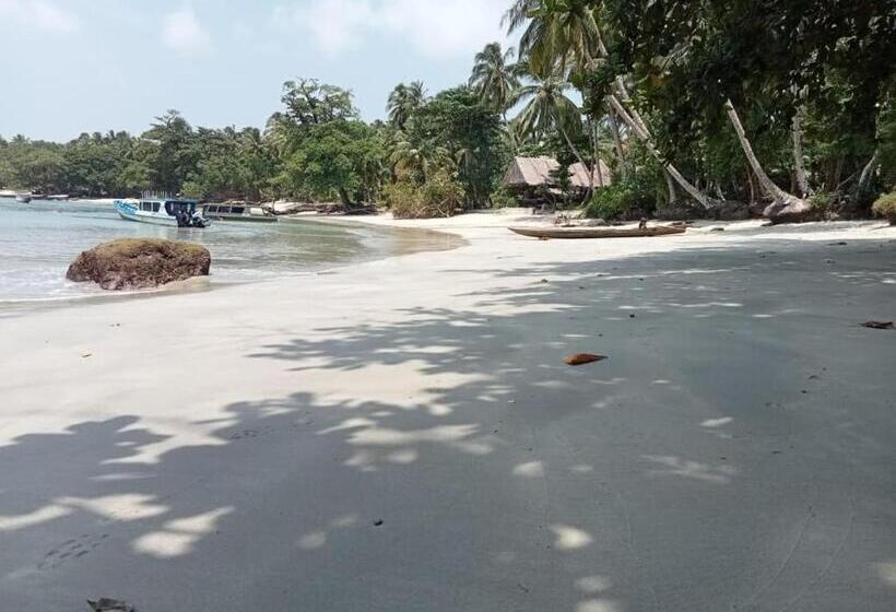 هاستل Kutnalek Surf Camp Siberut Mentawai Surfing Barrels