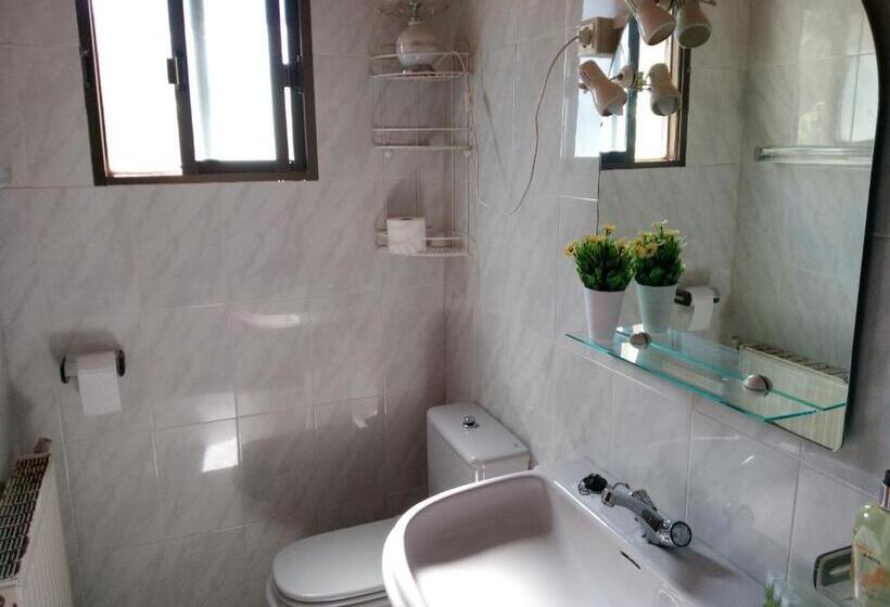 فندق صغير Pension Buena Vista