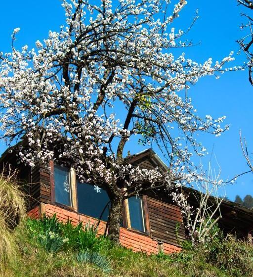 تختخواب و صبحانه Aarya Homes