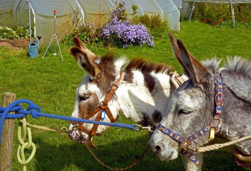 住宿加早餐 Chambres D Hôtes Du Coq à L Ane