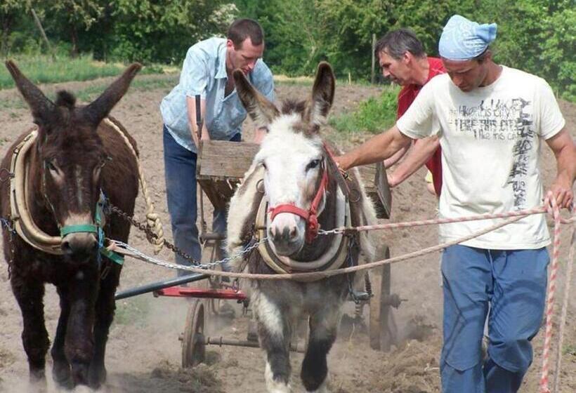 住宿加早餐 Chambres D Hôtes Du Coq à L Ane