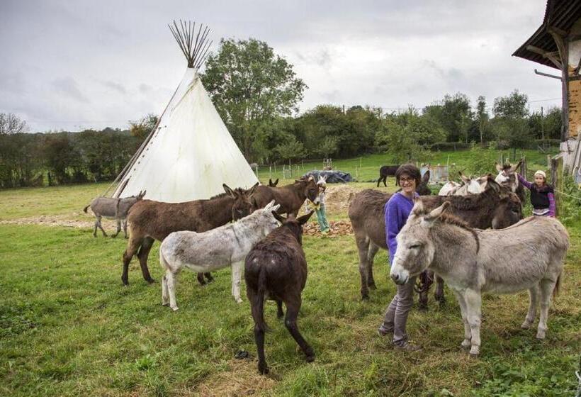 住宿加早餐 Chambres D Hôtes Du Coq à L Ane